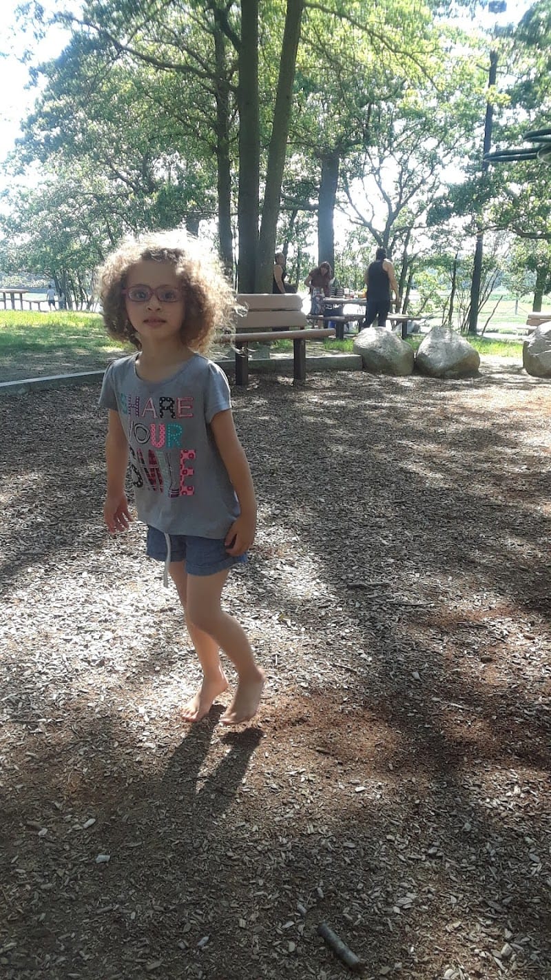 Perkins Playground playground photo 2