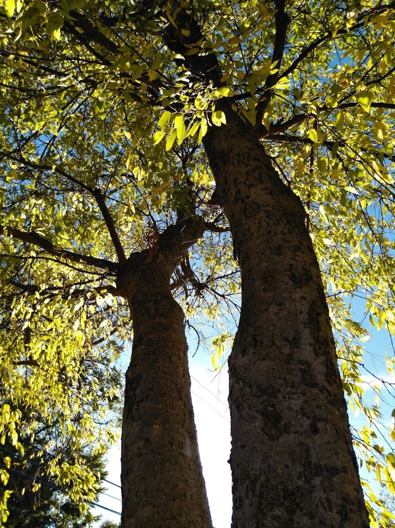 Perle Mesta Park playground photo 3