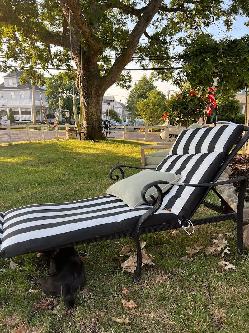 Pete's Playground playground photo 1