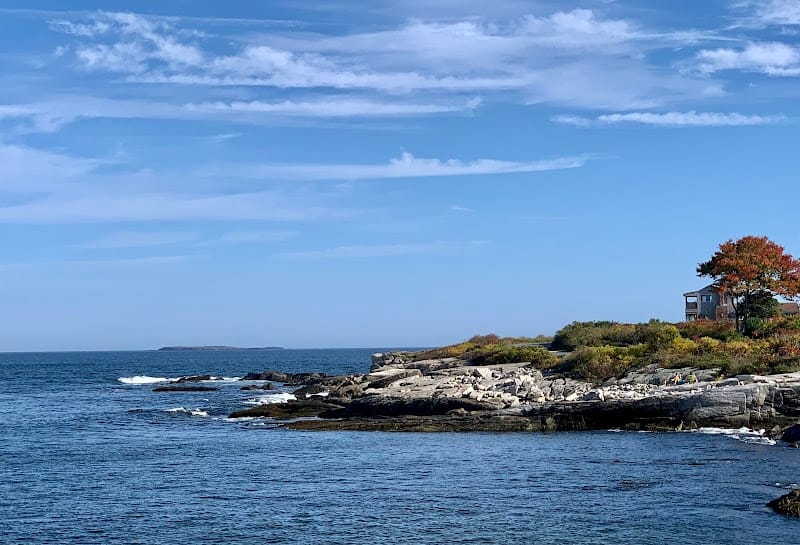 Picnic Point playground photo 1