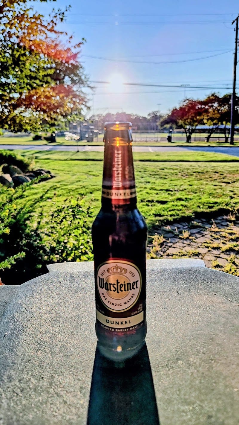 Play In Bay Park playground photo 3