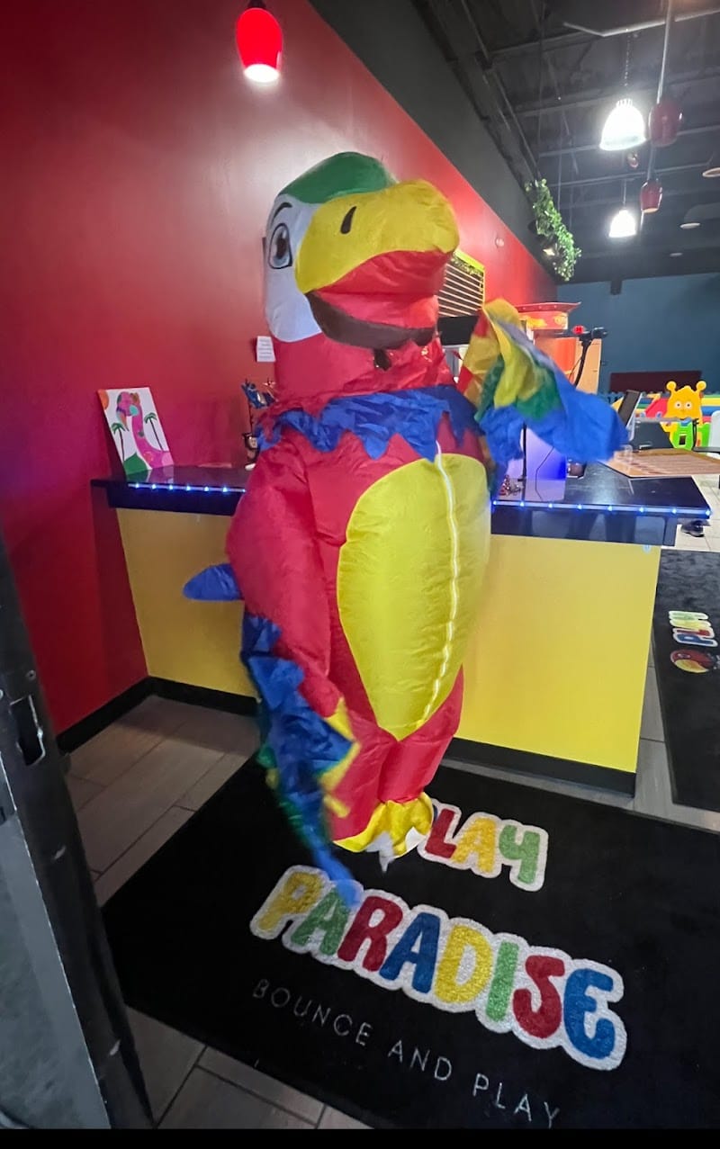 PLAY PARADISE playground photo 2