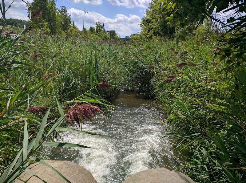 Plote Field playground photo 1
