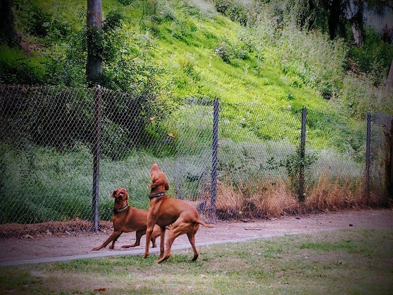 Prescott Park playground photo 3