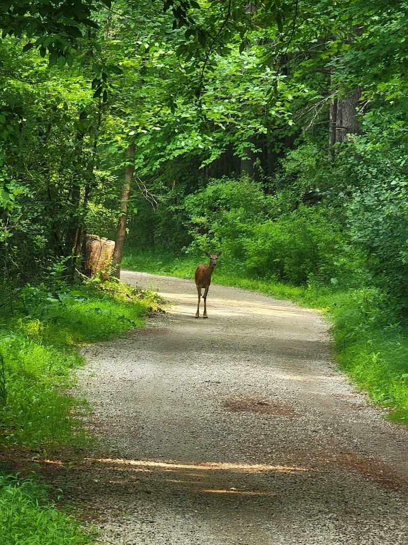 Putnam Park playground photo 3