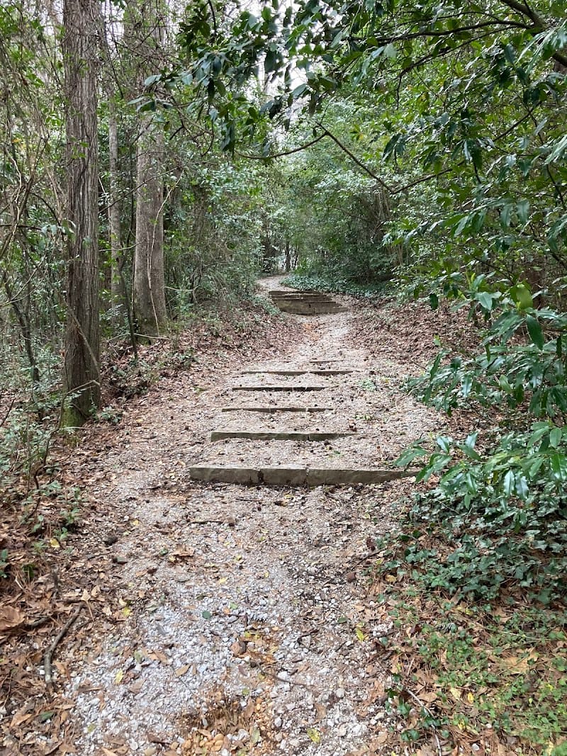 Queen City Park playground photo 1
