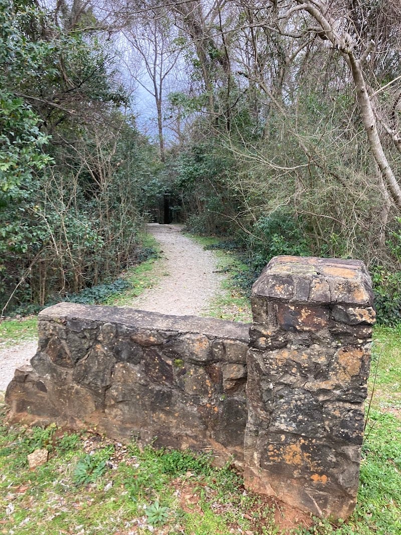 Queen City Park playground photo 2