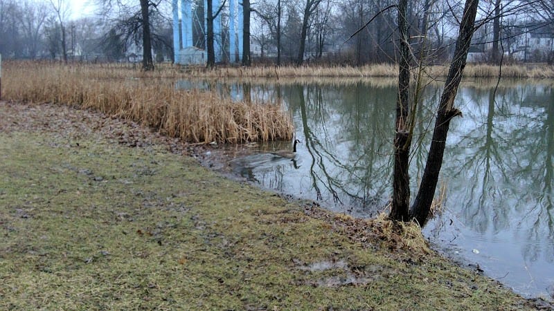 Quinby Park playground photo 1