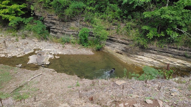 Ray Park eez playground photo 1