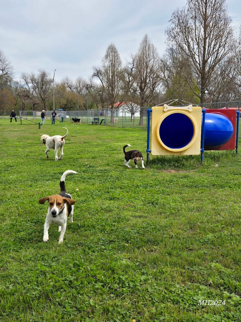 Ray Trent Park playground photo 3
