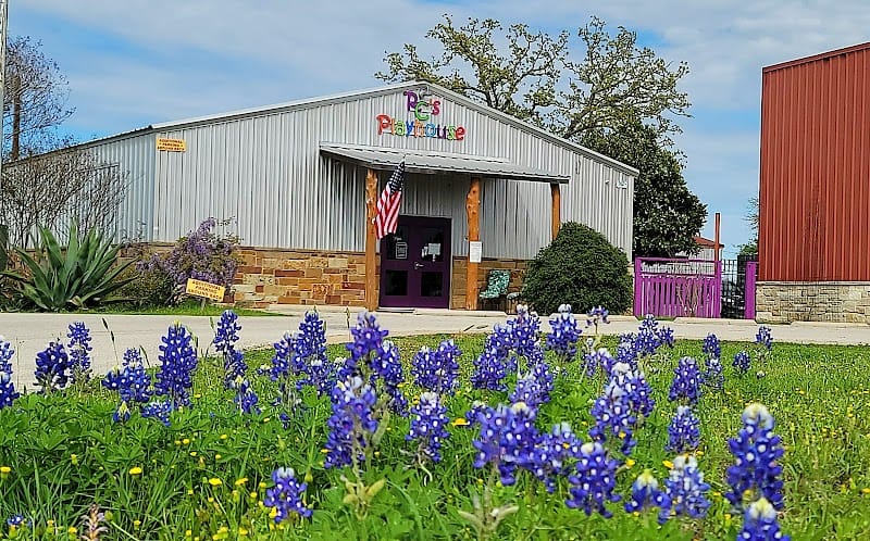 RC's Playhouse playground photo 1