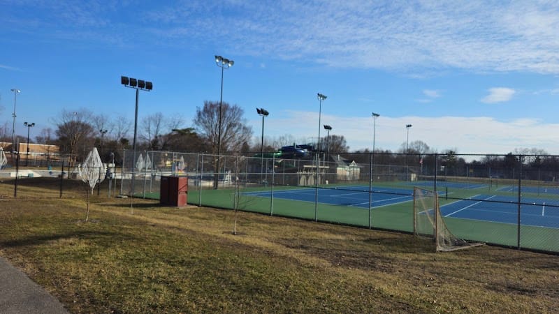 Reed Road Park playground photo 3