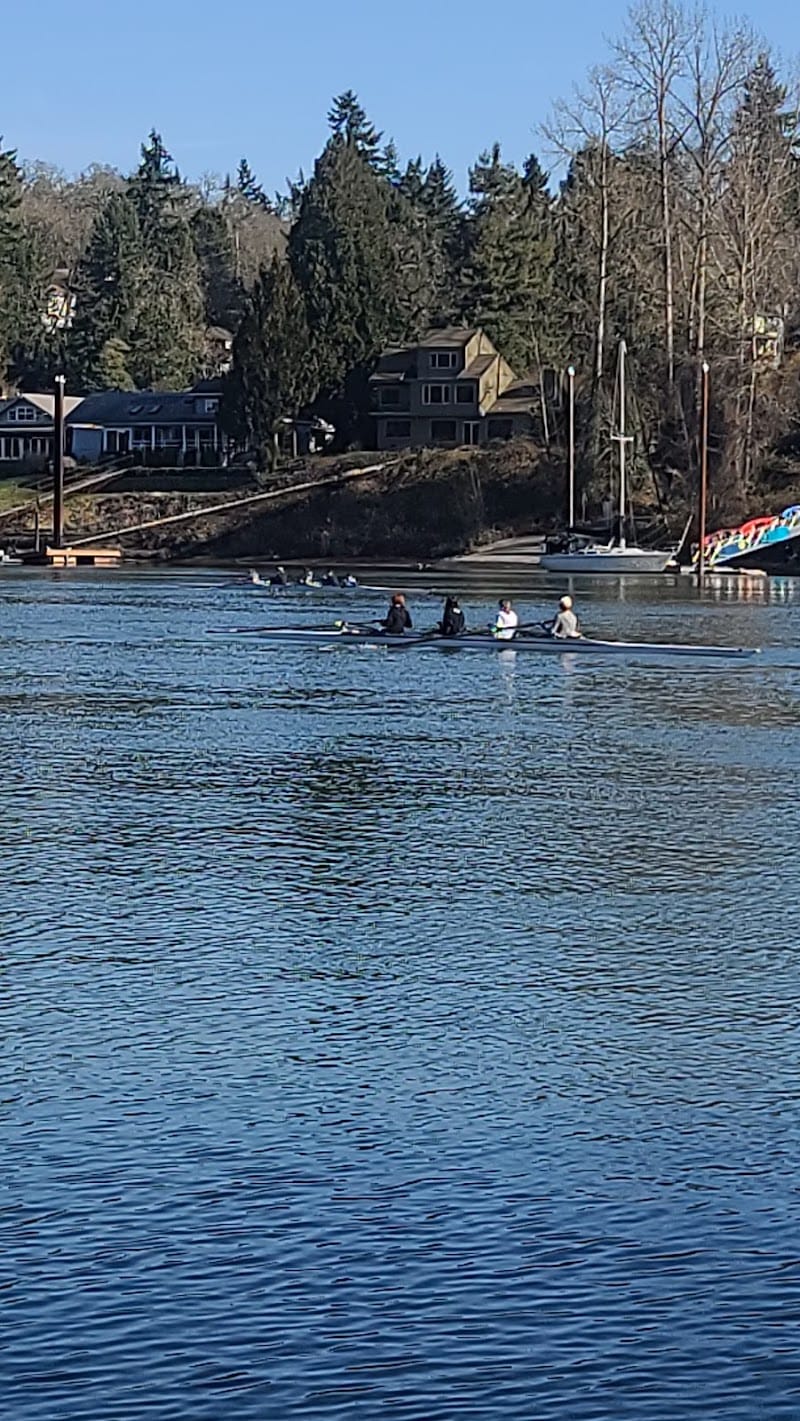 Roehr City Park playground photo 2