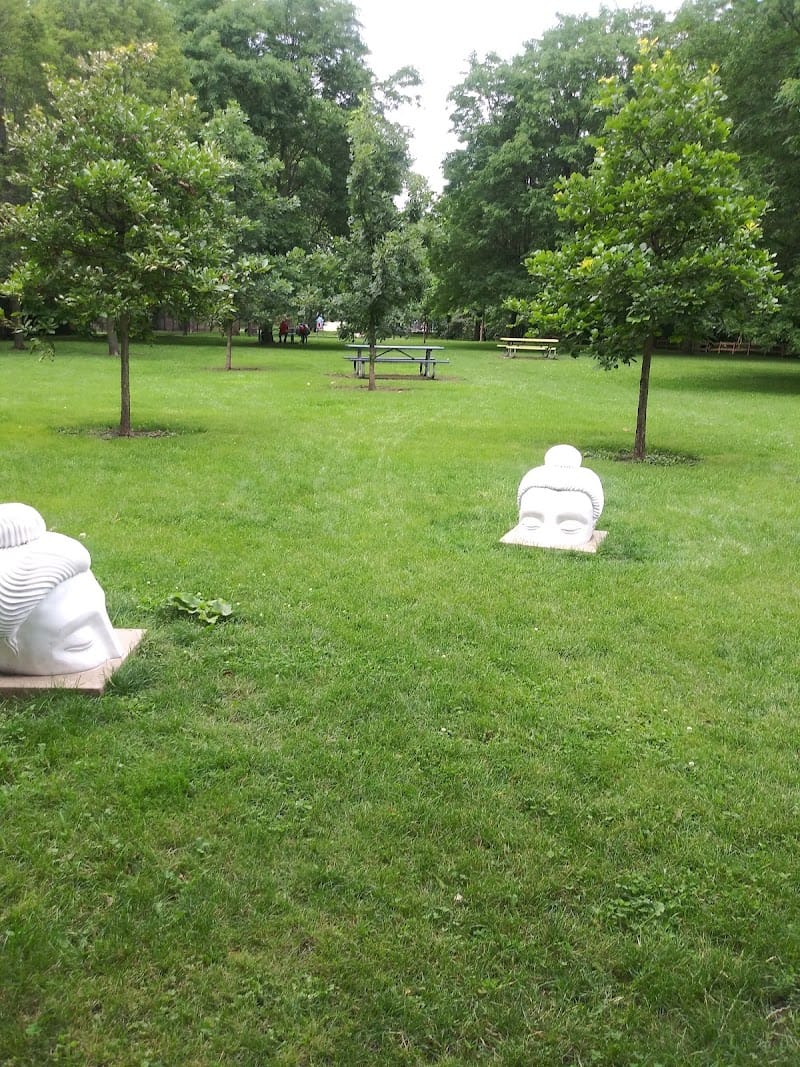 Ronan (George) Park playground photo 2