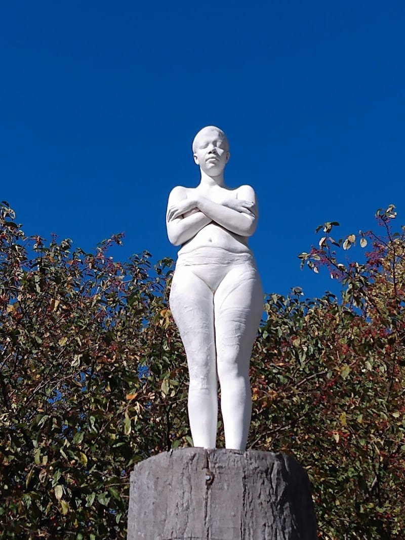 Ronan (George) Park playground photo 3