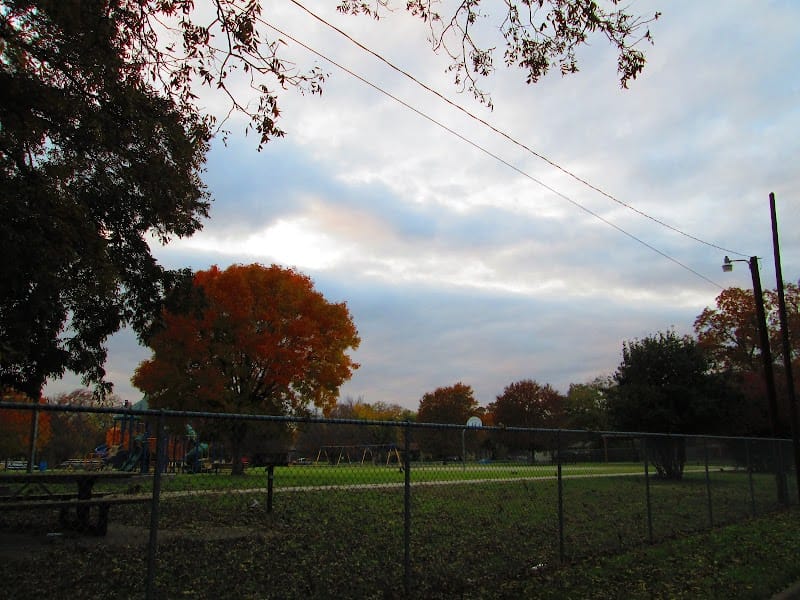 Rosebud Park playground photo 2