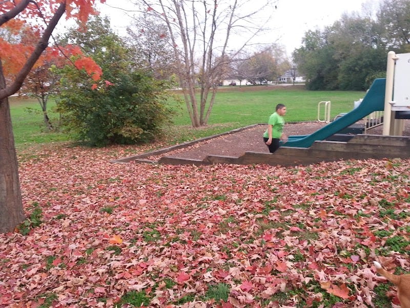 Ross Claypool Park playground photo 2