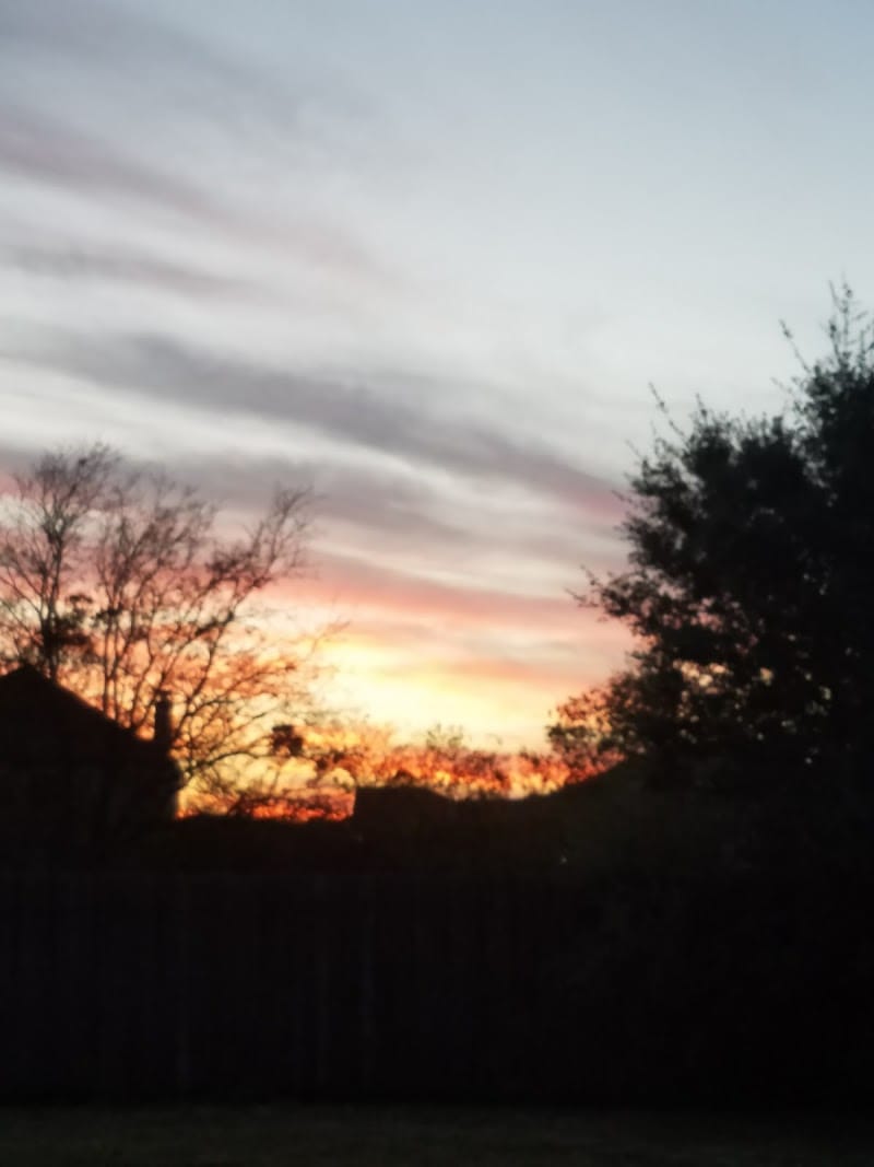 Royal Pointe Park playground photo 3