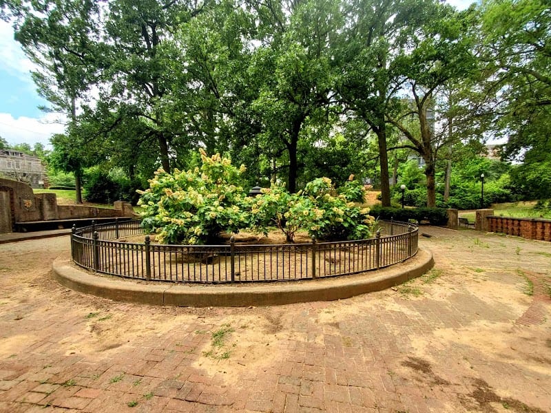 Rufus Rhodes Park playground photo 1