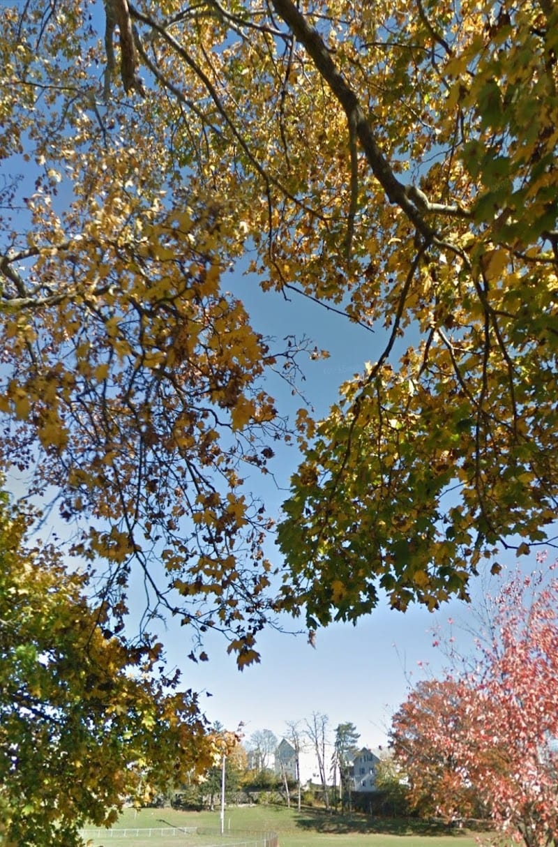 Ruggles Park playground photo 3