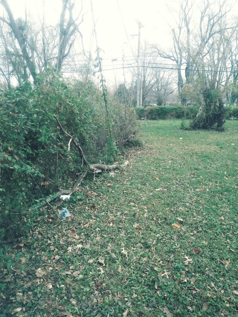Ruskin Way Park playground photo 3