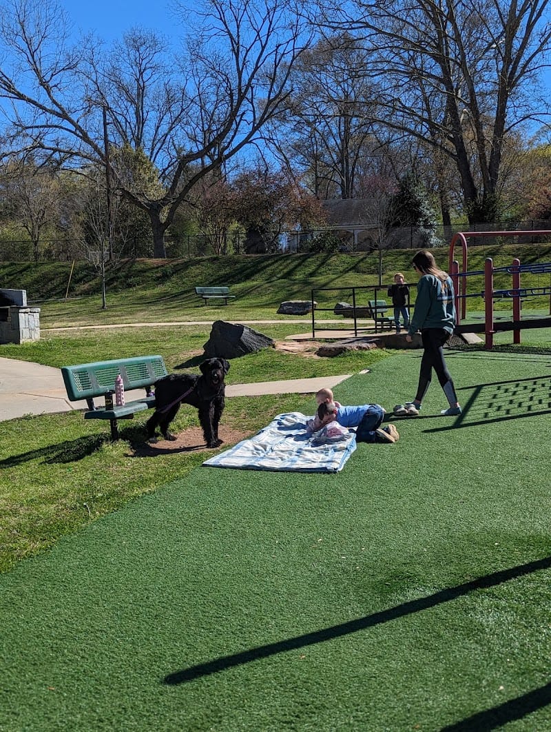 Safari Park playground photo 2
