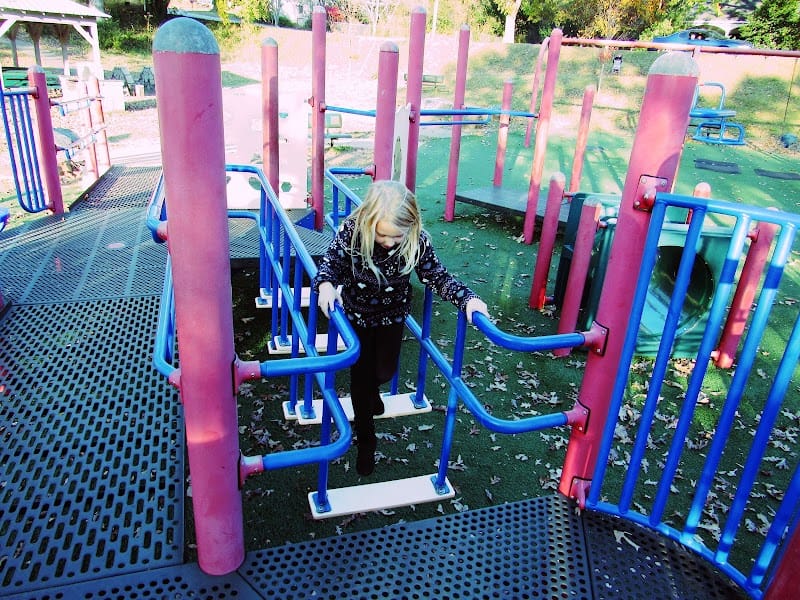 Safari Park playground photo 3