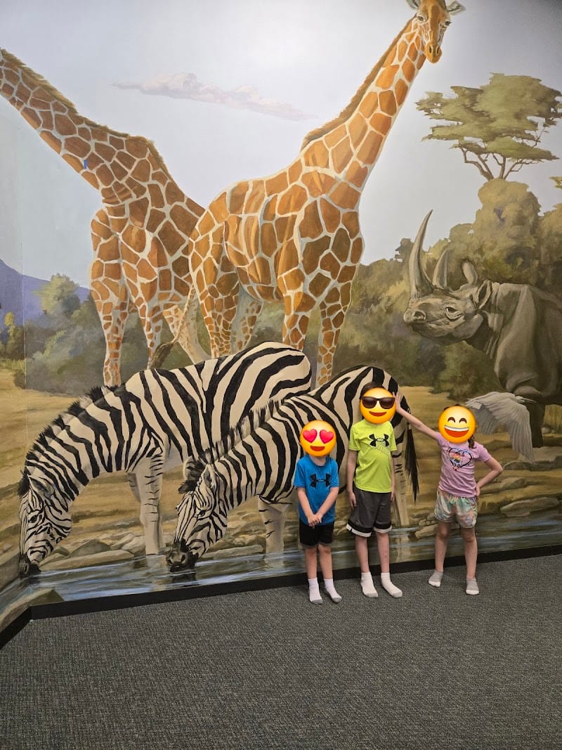 Safari Stop playground photo 3