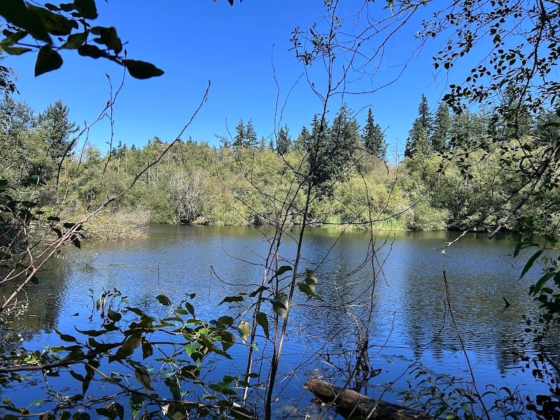 Sakai Park playground photo 1