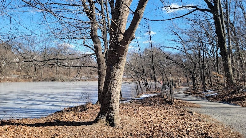 Saturn Playground playground photo 2