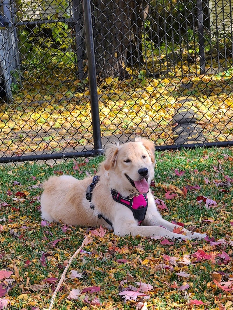 Schreiber Park playground photo 2