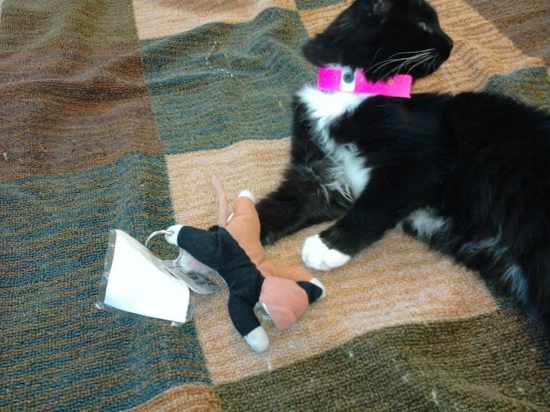 Sequoyah Park playground photo 3