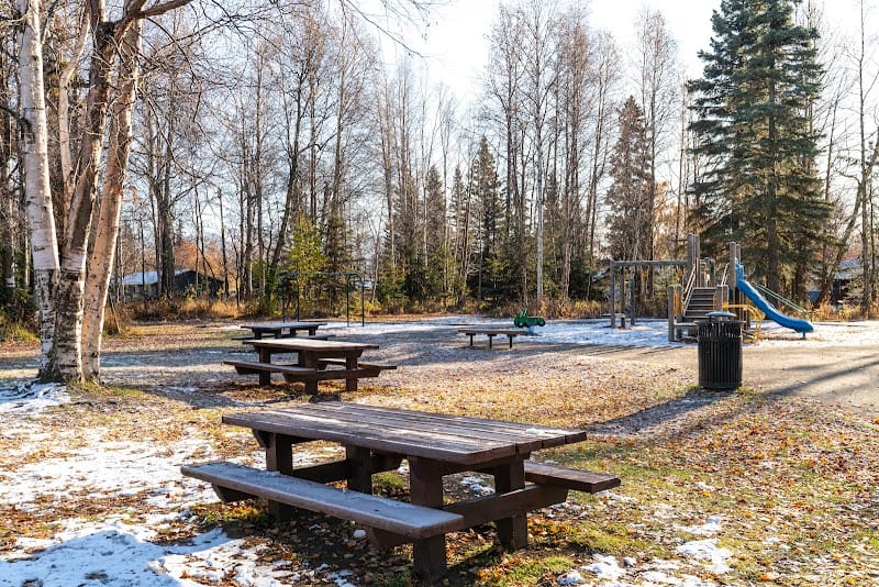 Shady Birch Park playground photo 3