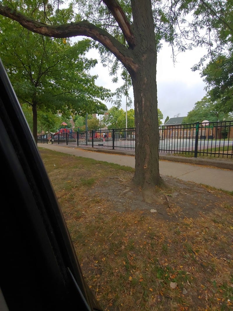 Shedd (John G.) Park playground photo 3
