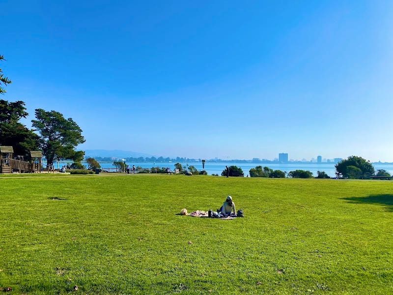 Shorebird Park playground photo 2