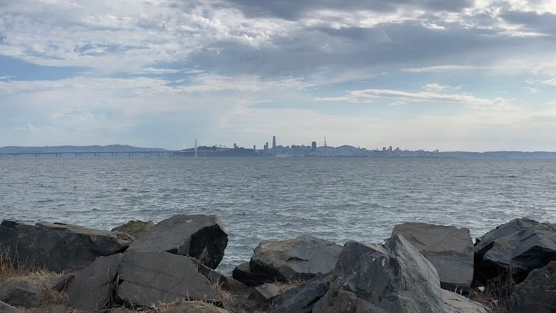 Shorebird Park playground photo 3