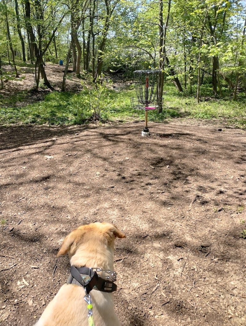 Shorewood Park playground photo 2