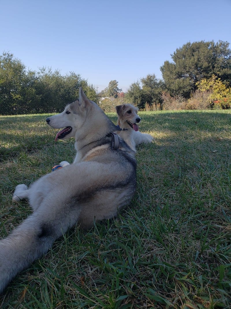 Shurtleff Park playground photo 3