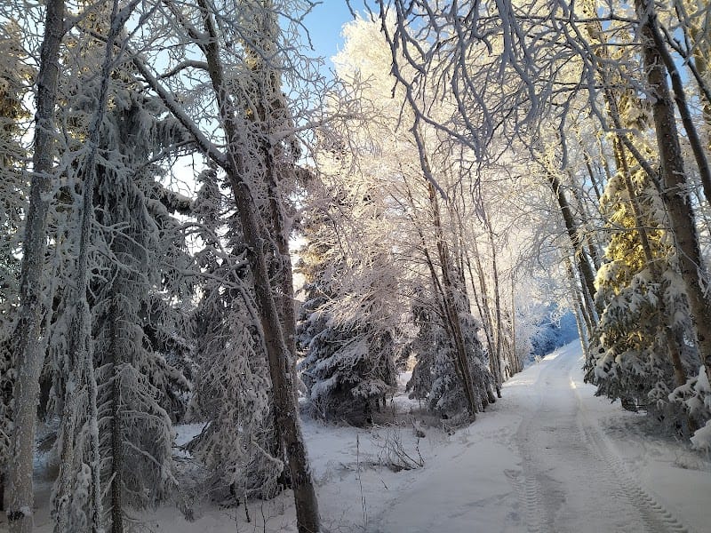Sitka Street Park playground photo 3