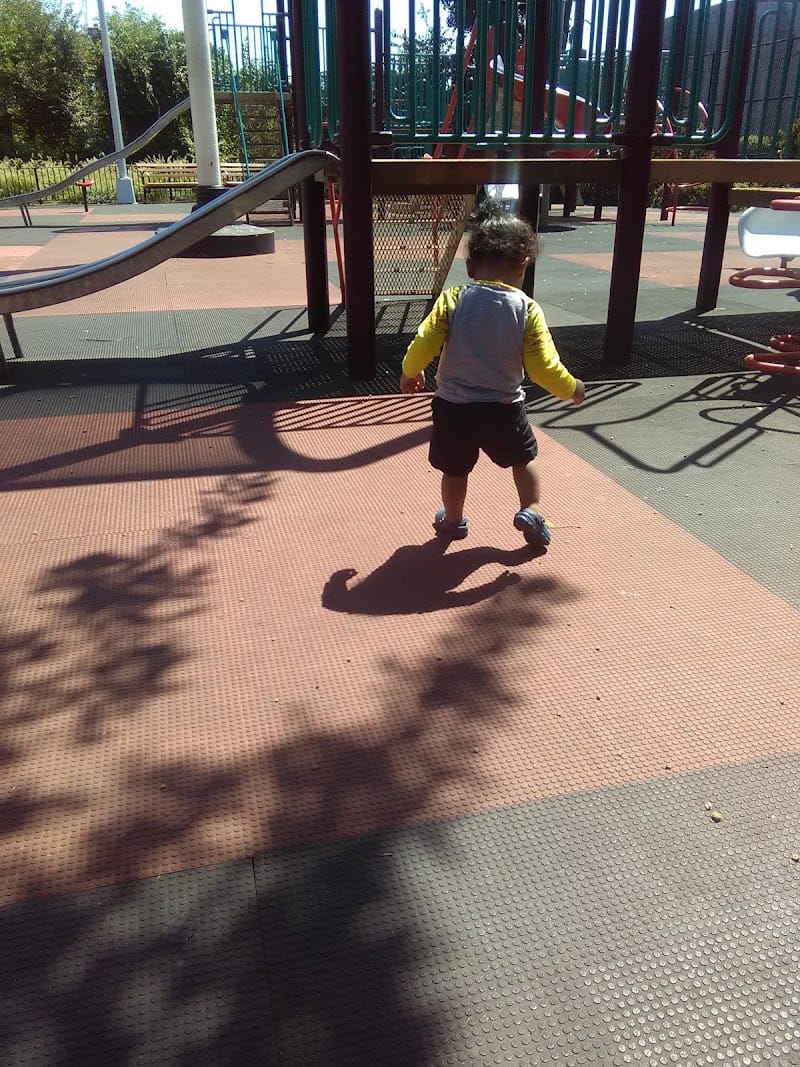 Sledge Playground playground photo 3