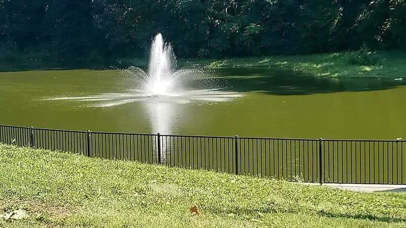Spring Valley Park playground photo 3