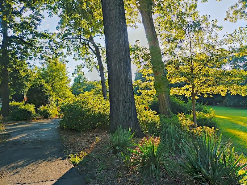 Springdale Park playground photo 2
