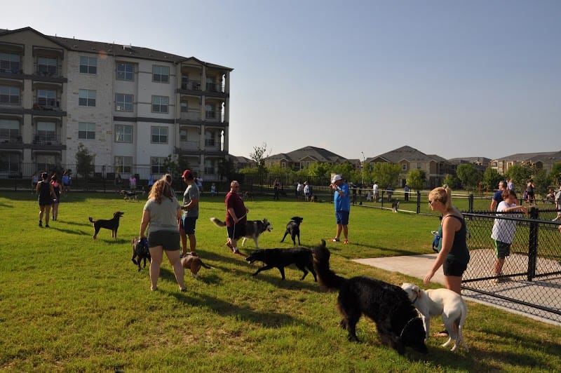 Stone Hill Park playground photo 2