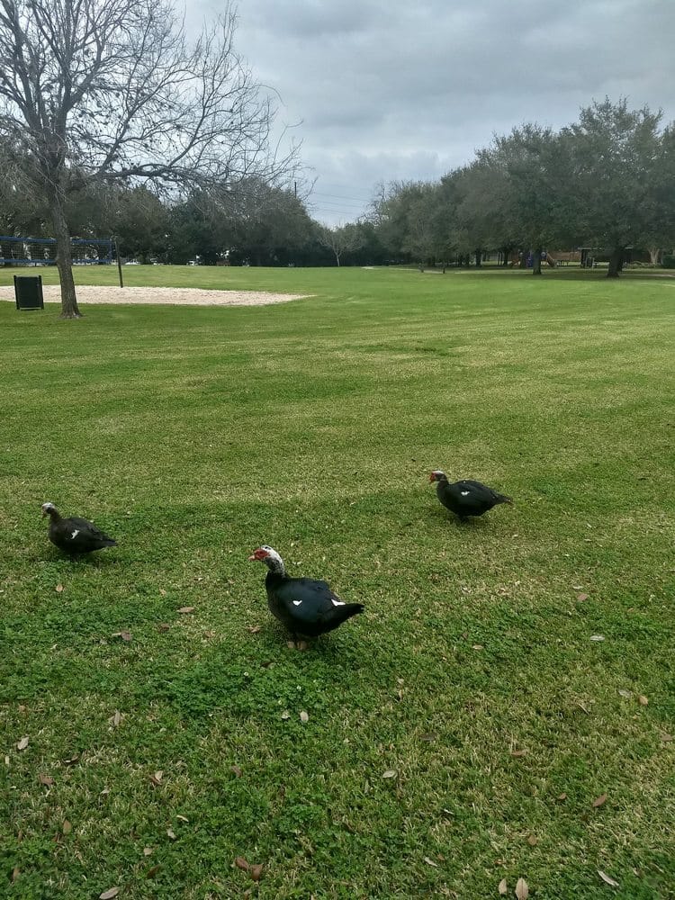 Sugar Lakes Park playground photo 3