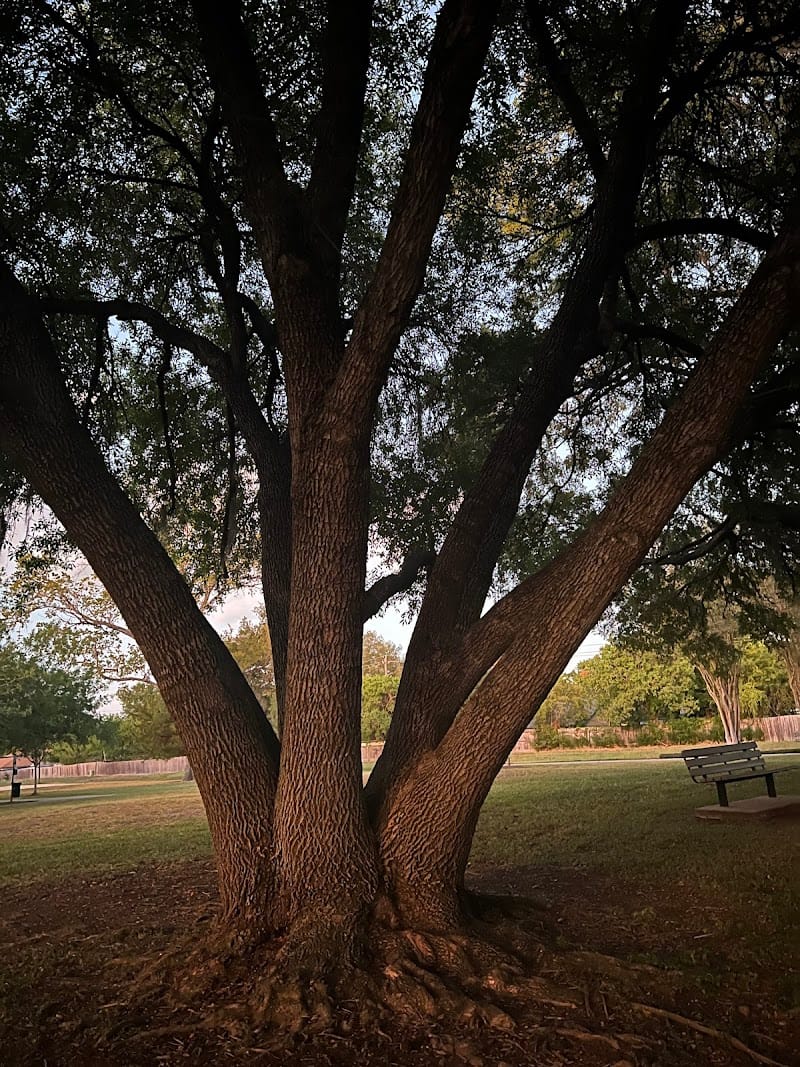Sugar Mill Park playground photo 3