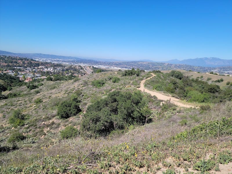 Summitridge Trail playground photo 2