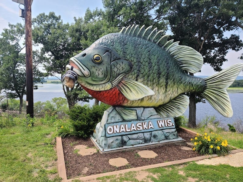 Sunny The Sunfish playground photo 1