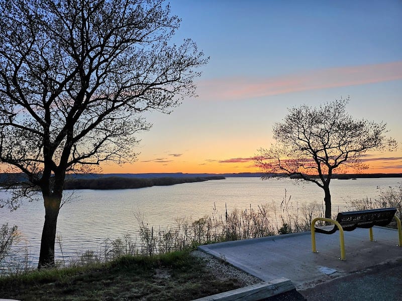 Sunny The Sunfish playground photo 2