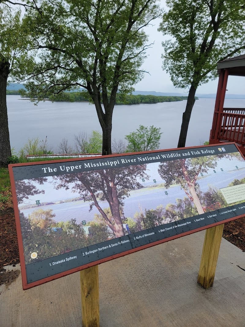 Sunny The Sunfish playground photo 3