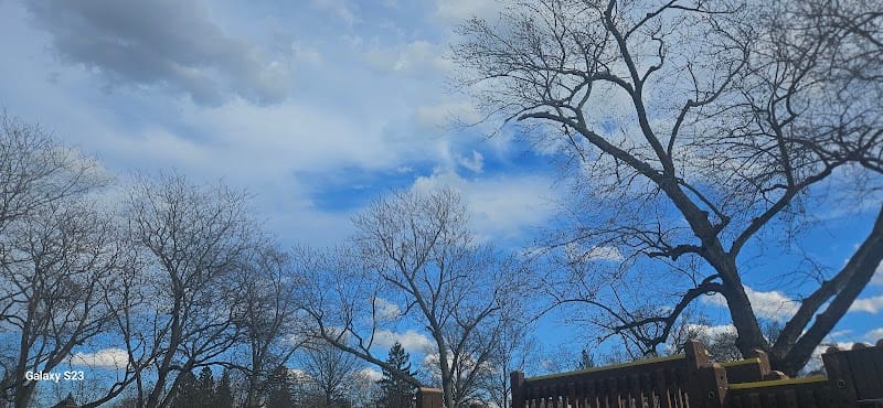 Sussex Park playground photo 2